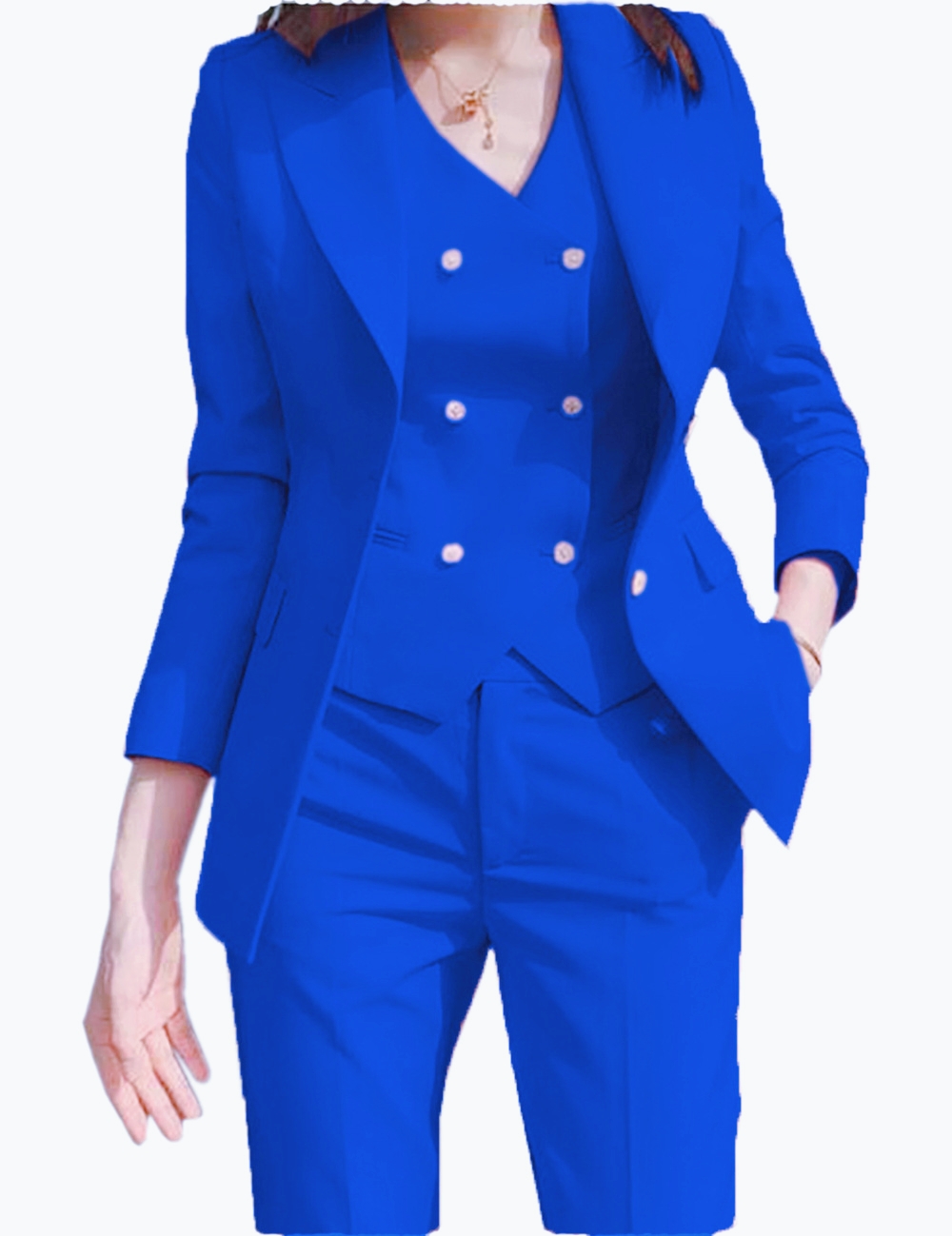 Herfstoutfits Kostuumjas Dried - Women'S Formal Wear Pants Suit recensie en prijs